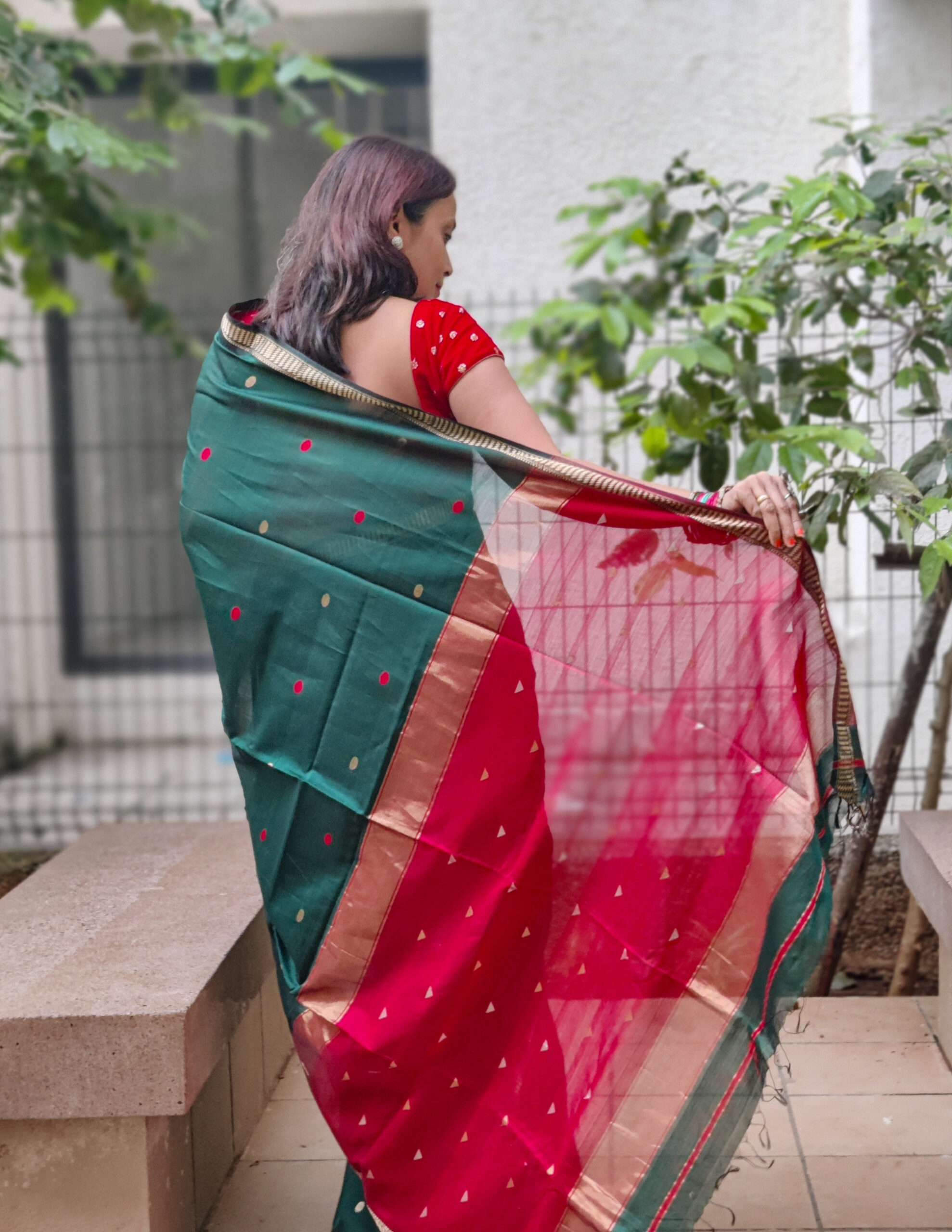 IMG_20241106_170512_Bokeh