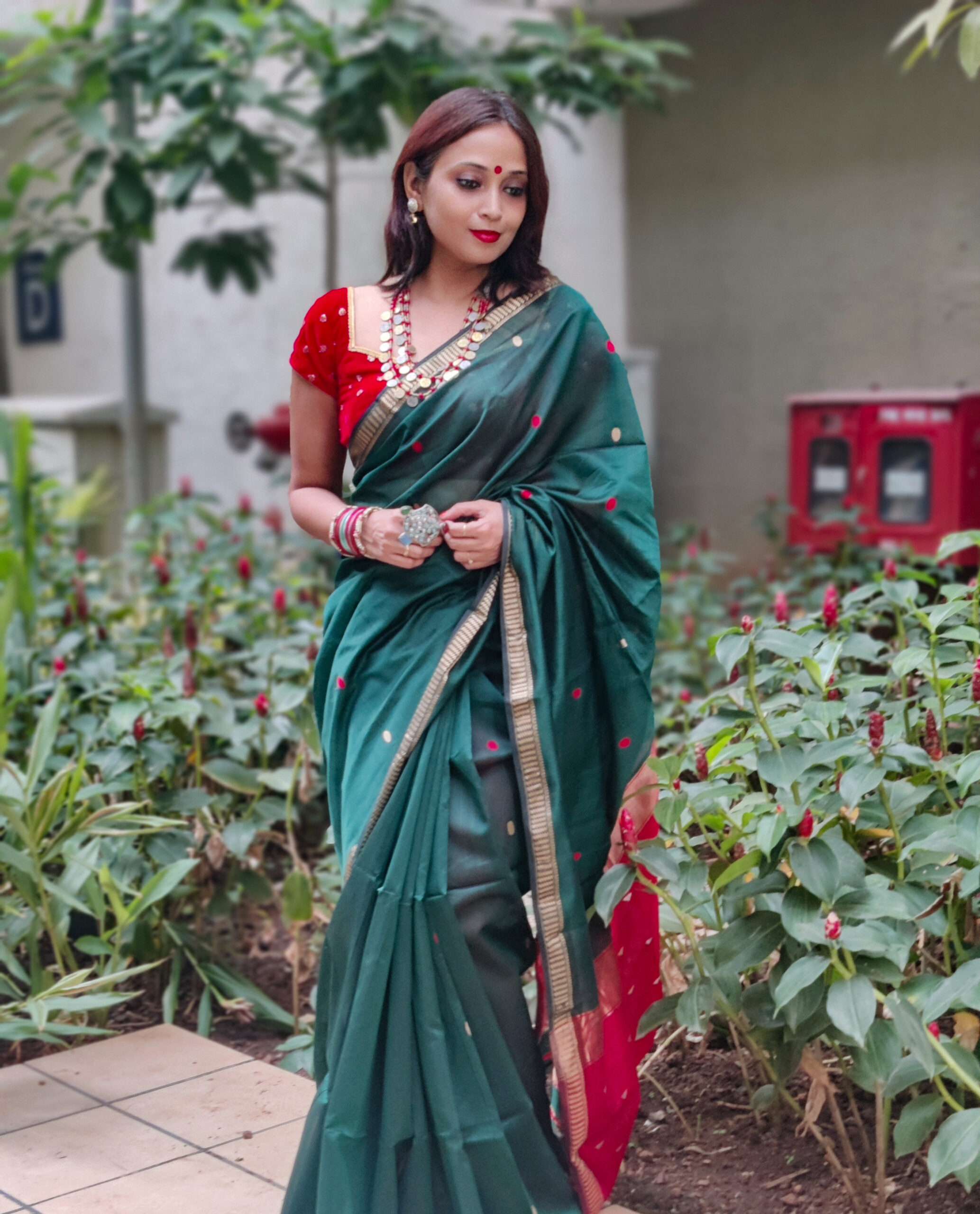 IMG_20241106_170859_Bokeh