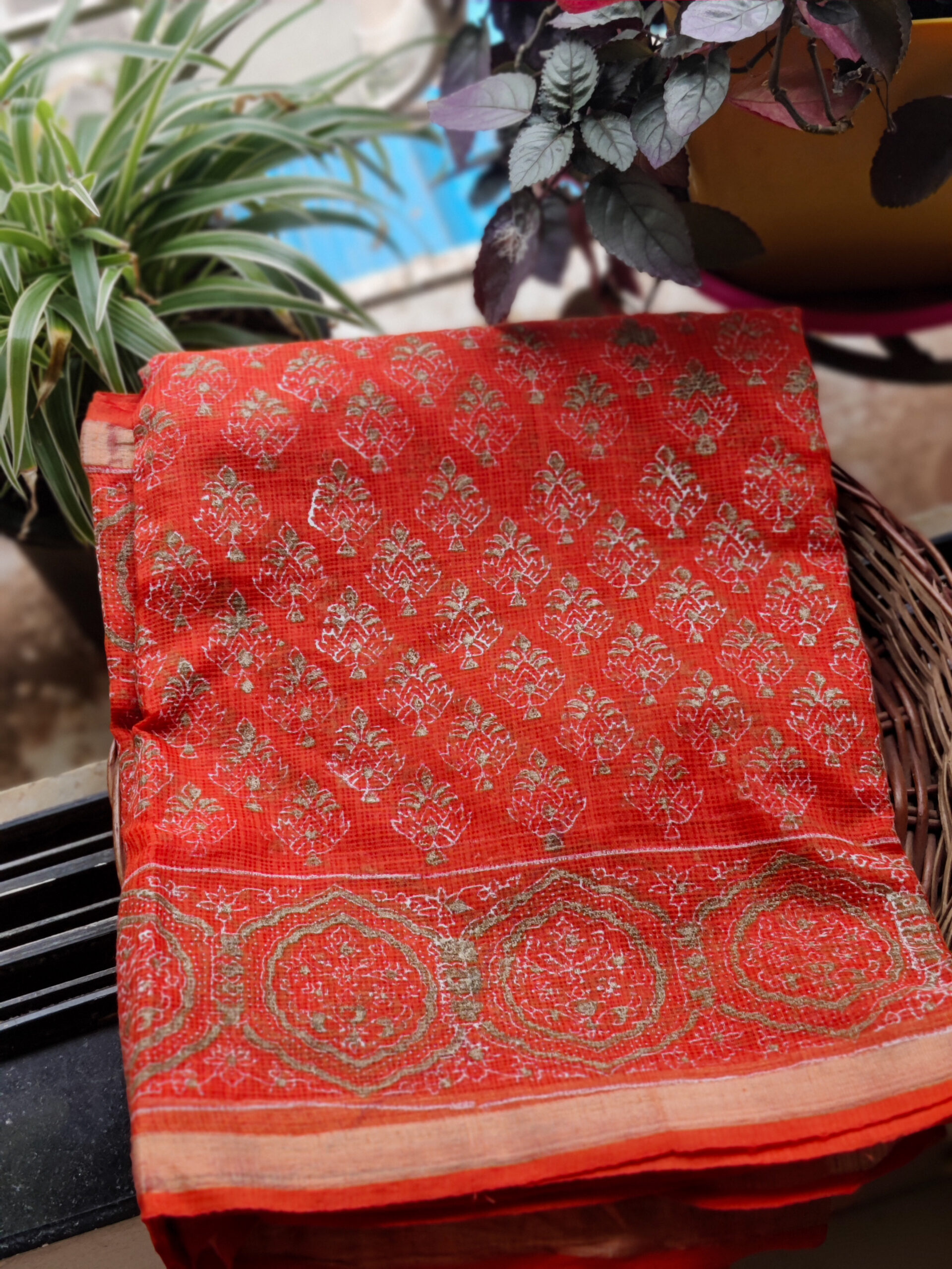 IMG_20250909_125530_Bokeh